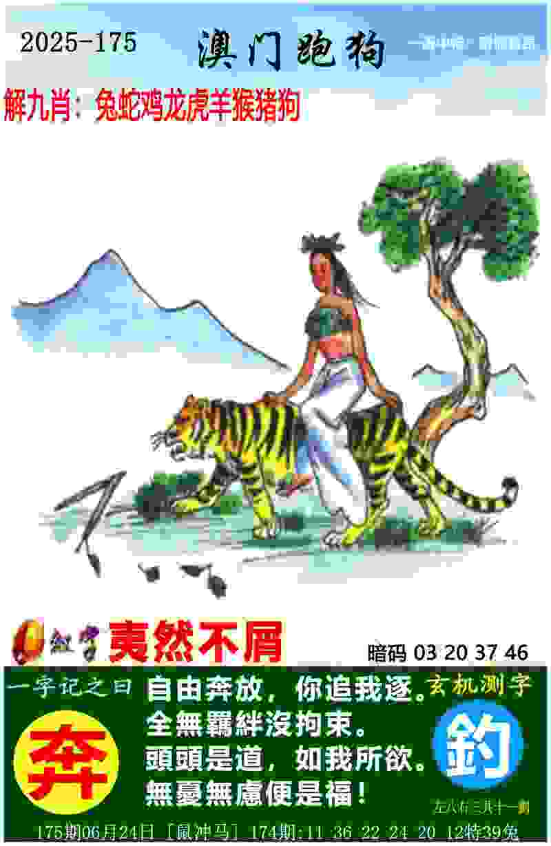 >2025新澳门历史记录
